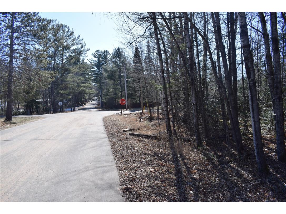 XXX S 2nd Avenue N Lake Nebagamon WI 54849 1589621 image14