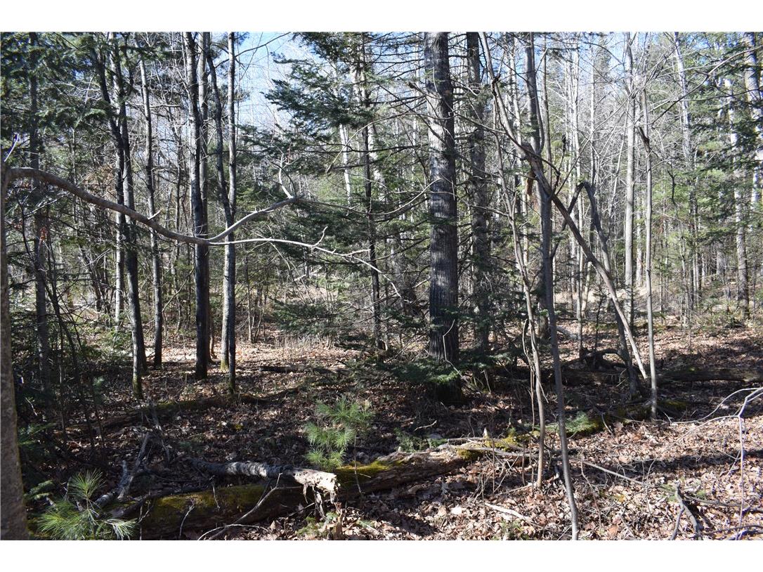 XXX S 2nd Avenue N Lake Nebagamon WI 54849 1589621 image17