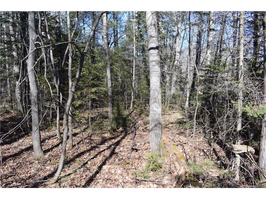 XXX S 2nd Avenue N Lake Nebagamon WI 54849 1589621 image18