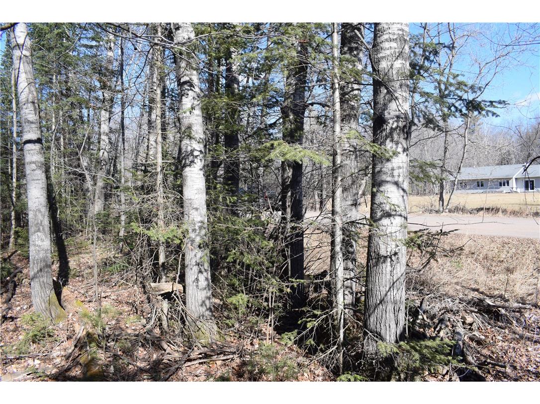 XXX S 2nd Avenue N Lake Nebagamon WI 54849 1589621 image19