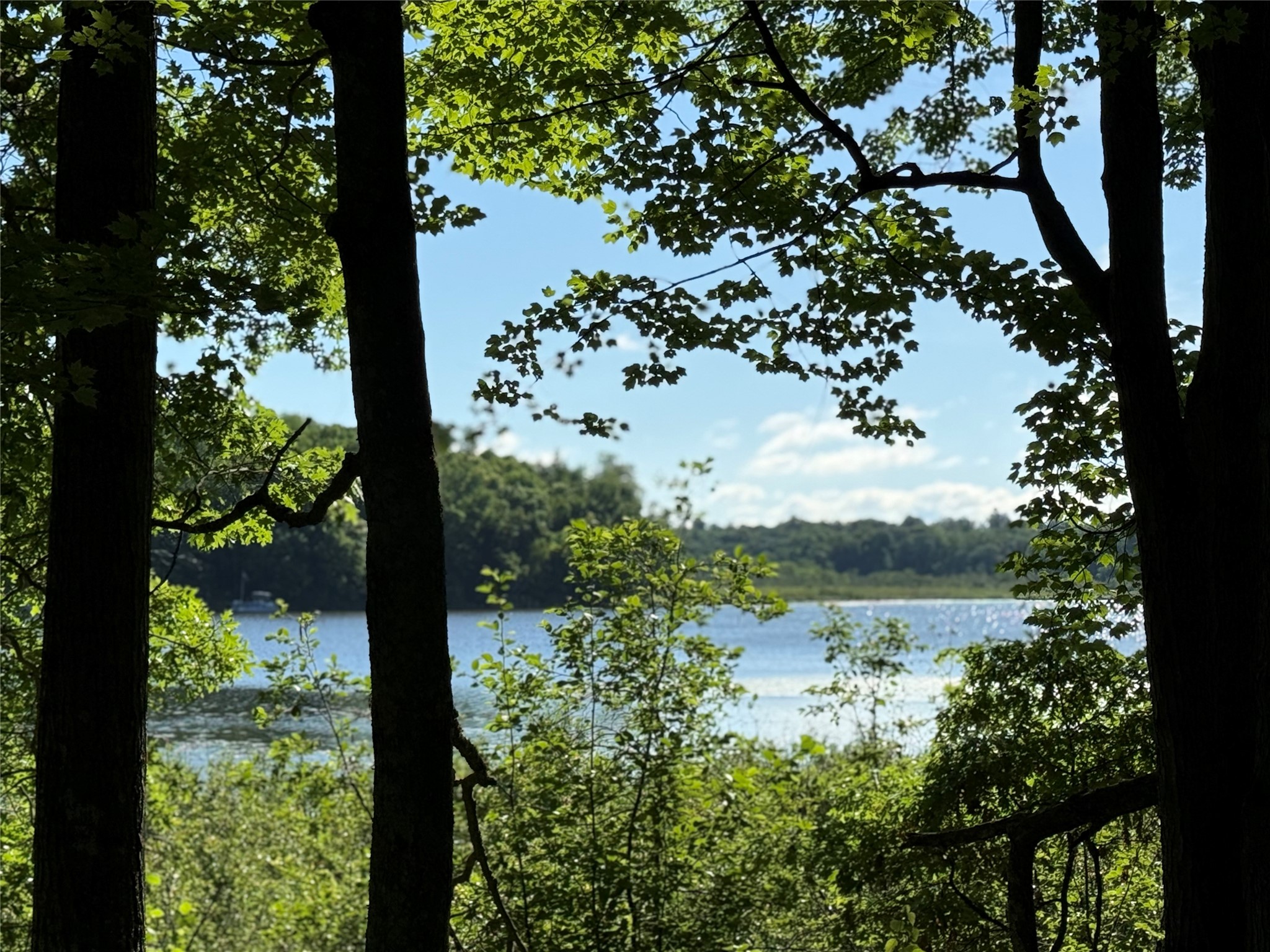 XXX Sathre Lane Shell Lake WI 54871 - Bashaw Lake 1602131 image12