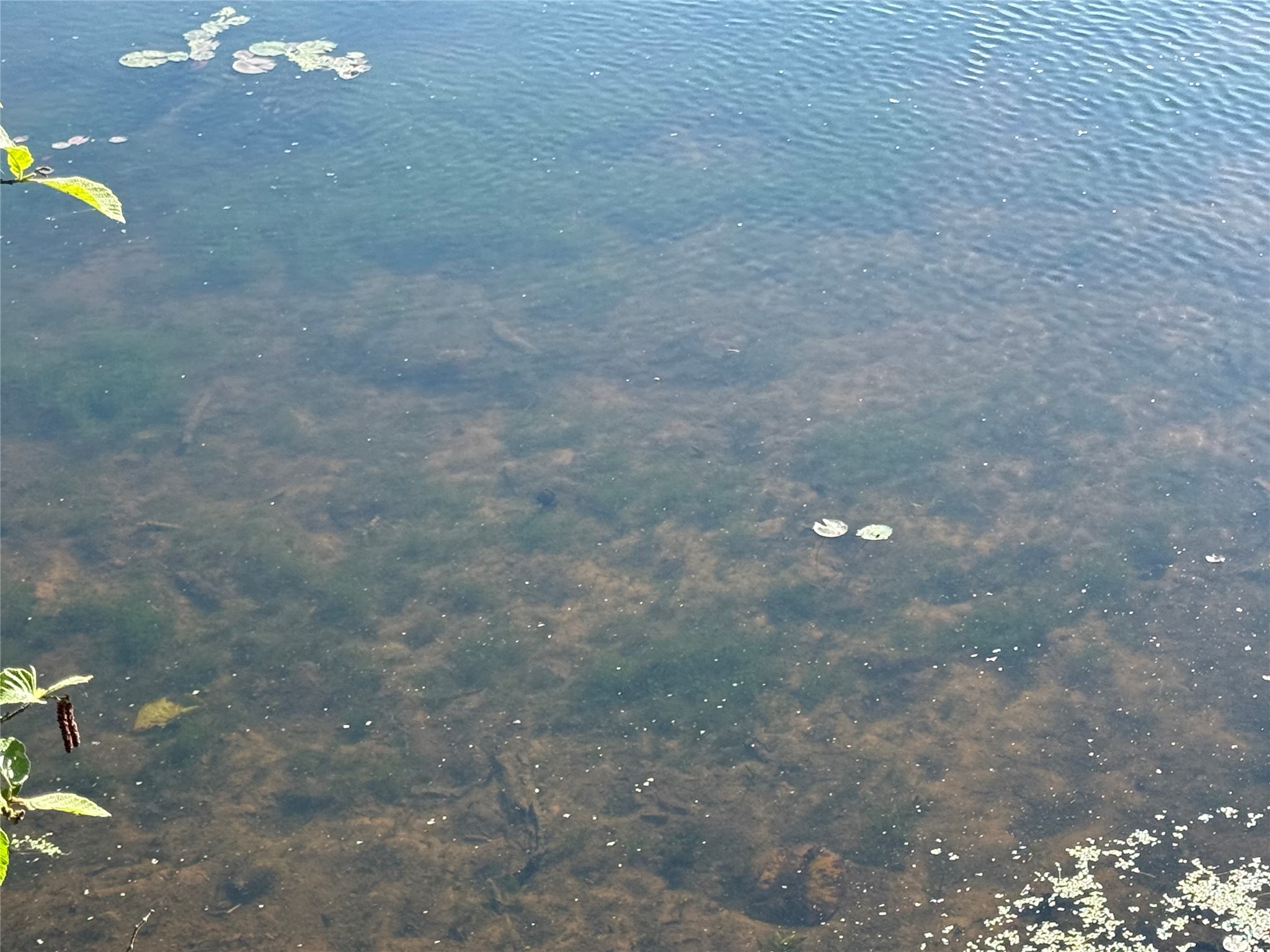 XXX Sathre Lane Shell Lake WI 54871 - Bashaw Lake 1602131 image13