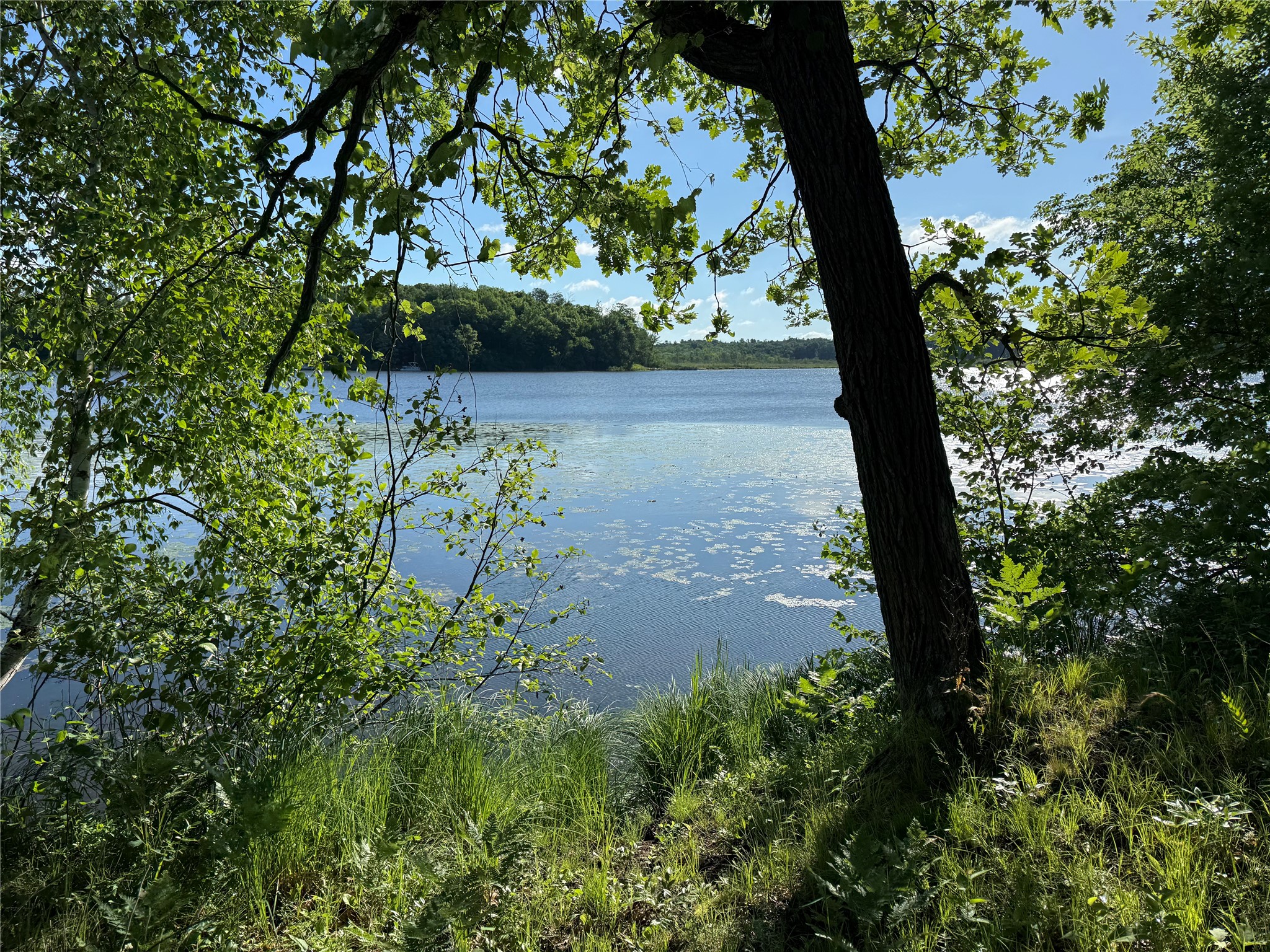 XXX Sathre Lane Shell Lake WI 54871 - Bashaw Lake 1602131 image14