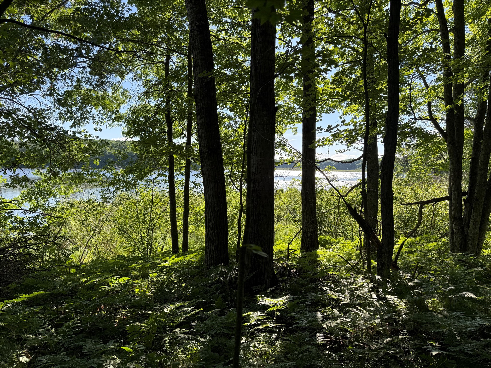 XXX Sathre Lane Shell Lake WI 54871 - Bashaw Lake 1602131 image15