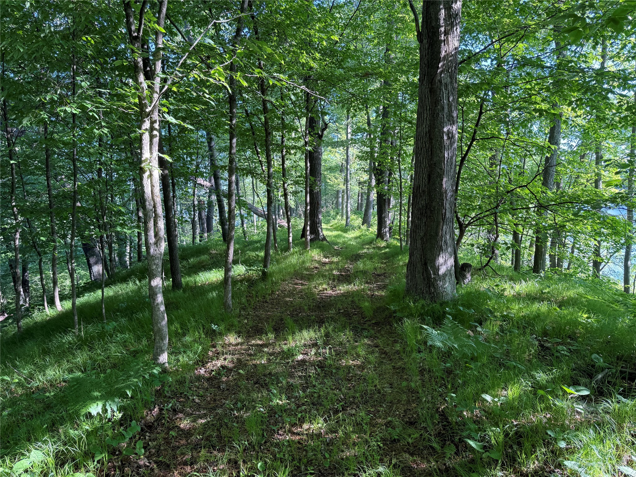 XXX Sathre Lane Shell Lake WI 54871 - Bashaw Lake 1602131 image19
