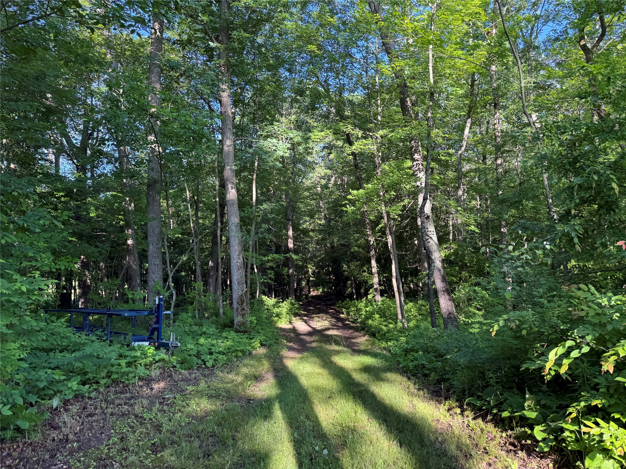 XXX Sathre Lane Shell Lake WI 54871 - Bashaw Lake 1602131 image21