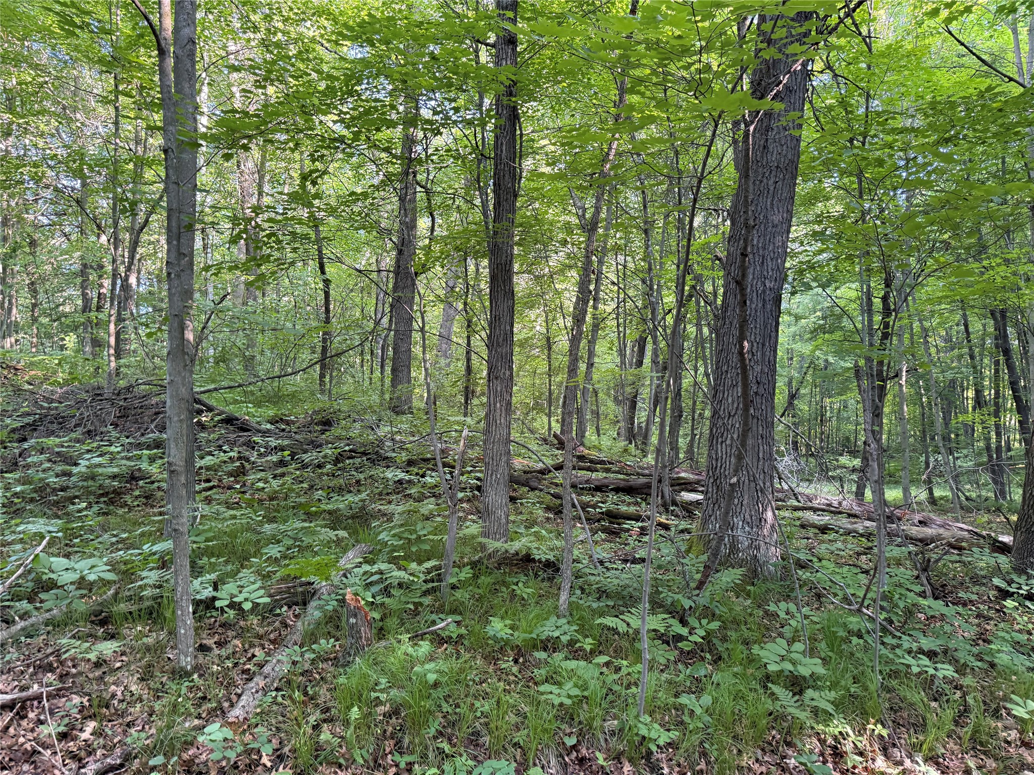 XXX Sathre Lane Shell Lake WI 54871 - Bashaw Lake 1602131 image27