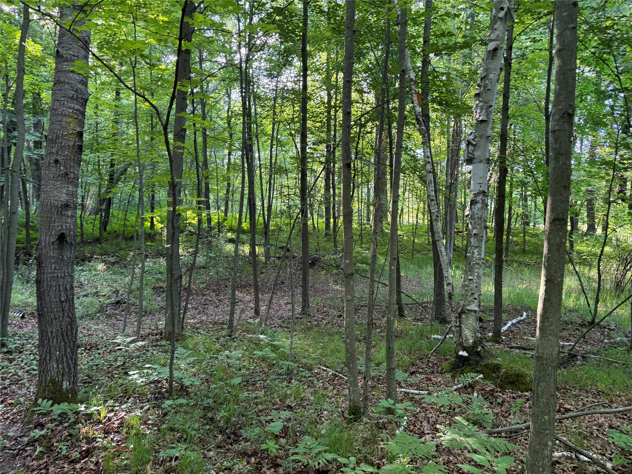 XXX Sathre Lane Shell Lake WI 54871 - Bashaw Lake 1602131 image30