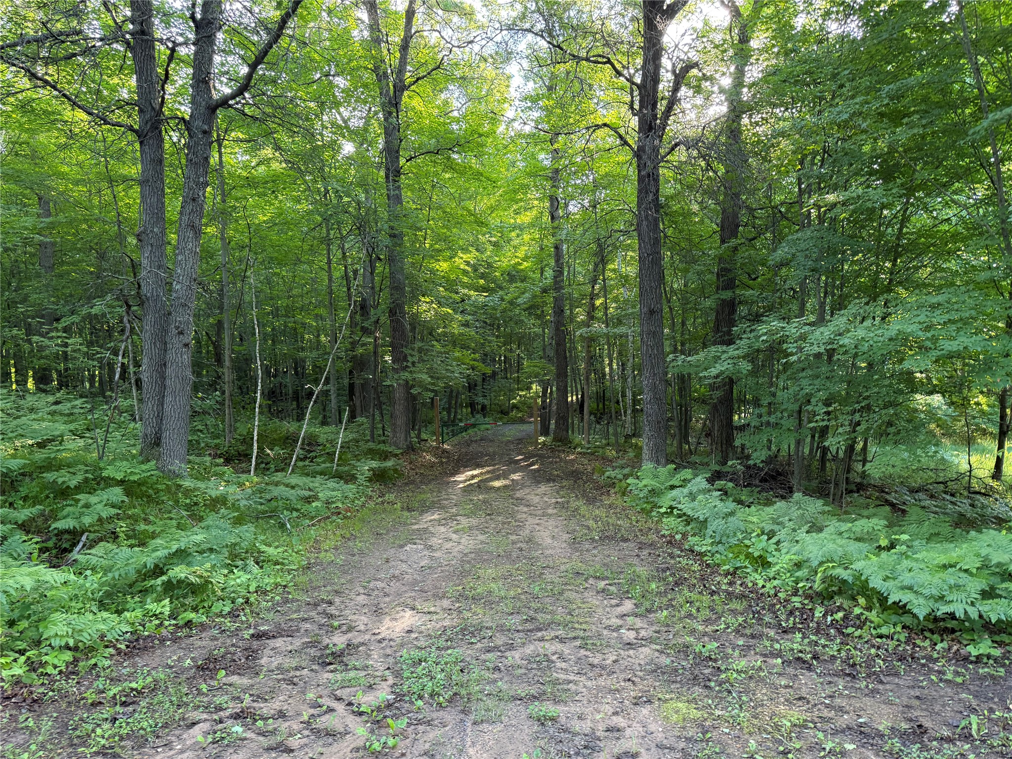 XXX Sathre Lane Shell Lake WI 54871 - Bashaw Lake 1602131 image31