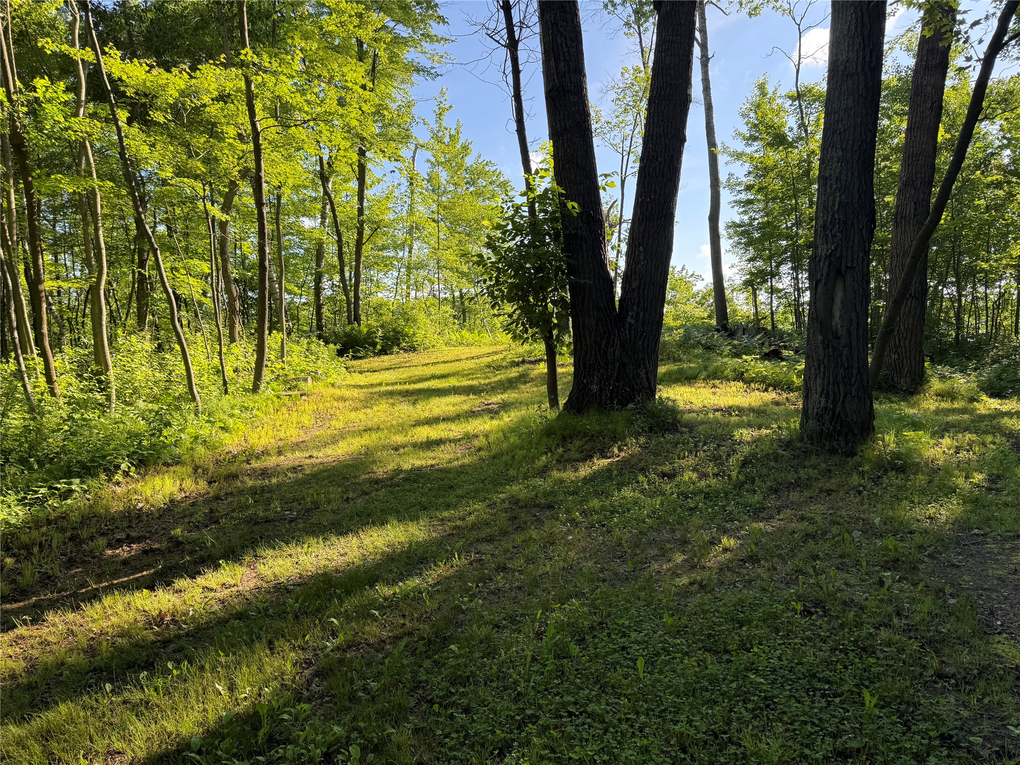 XXX Sathre Lane Shell Lake WI 54871 - Bashaw Lake 1602131 image5