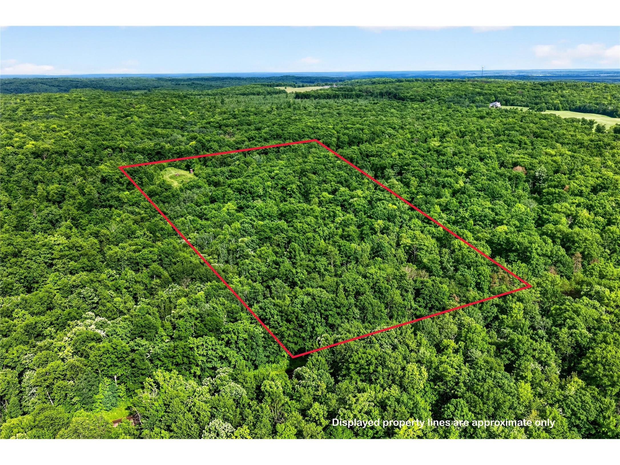 XXX Shady Lane Trego WI 54888 1602016 image1