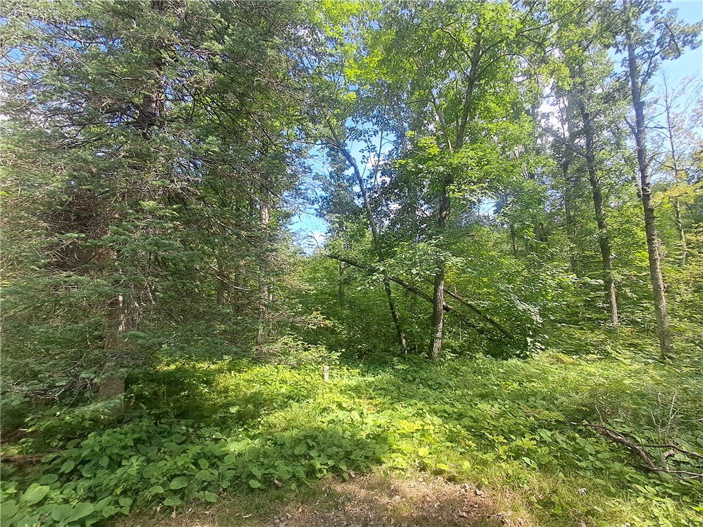 XXX White Tail Drive Danbury WI 54830 - St Croix 1580973 image1
