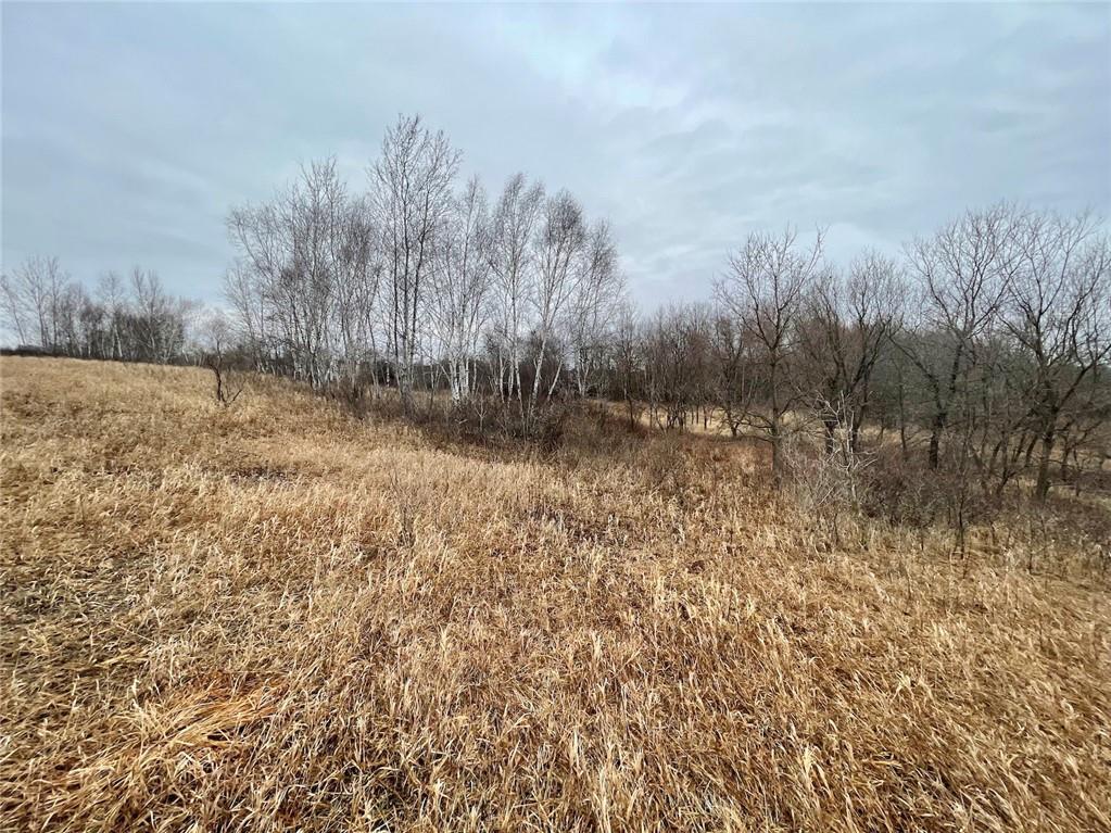 XXXX 85th Avenue Dresser WI 54009 - Big Horseshoe Lake 1562803 image1