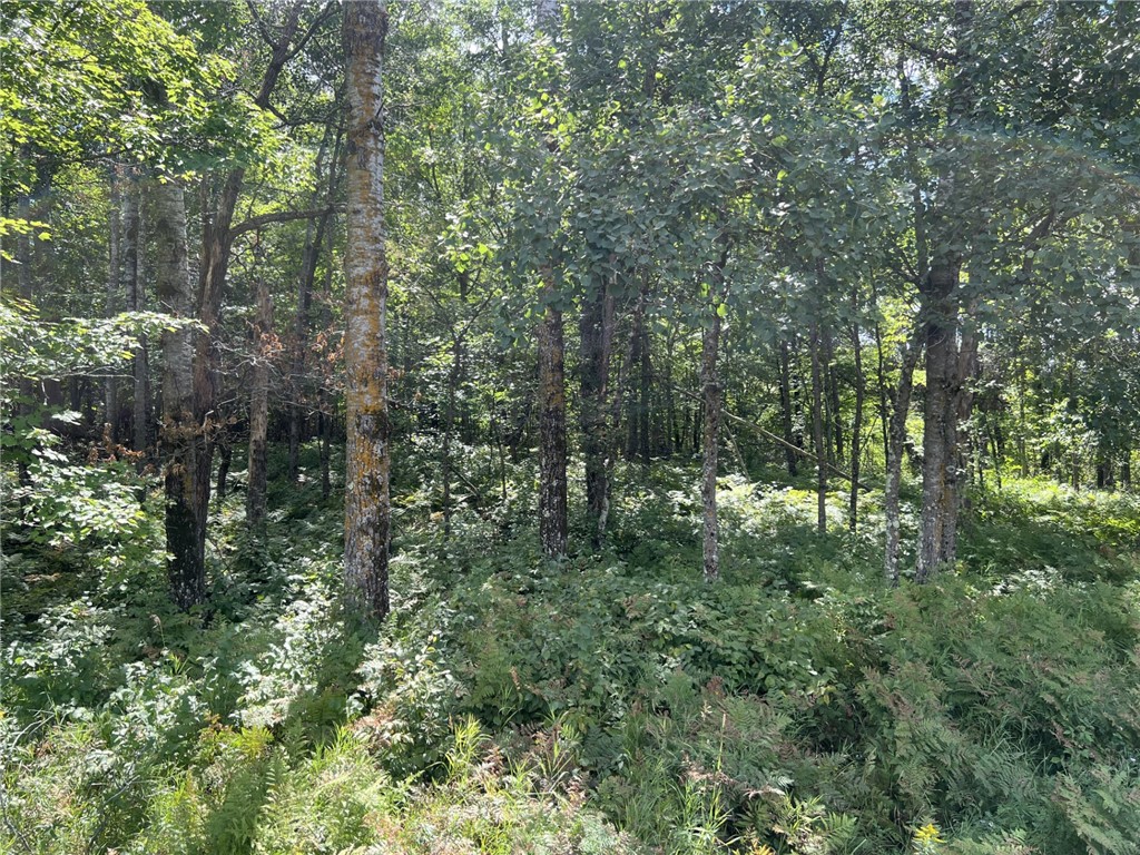 XXXX County Road B Siren WI 54872 1594845 image1