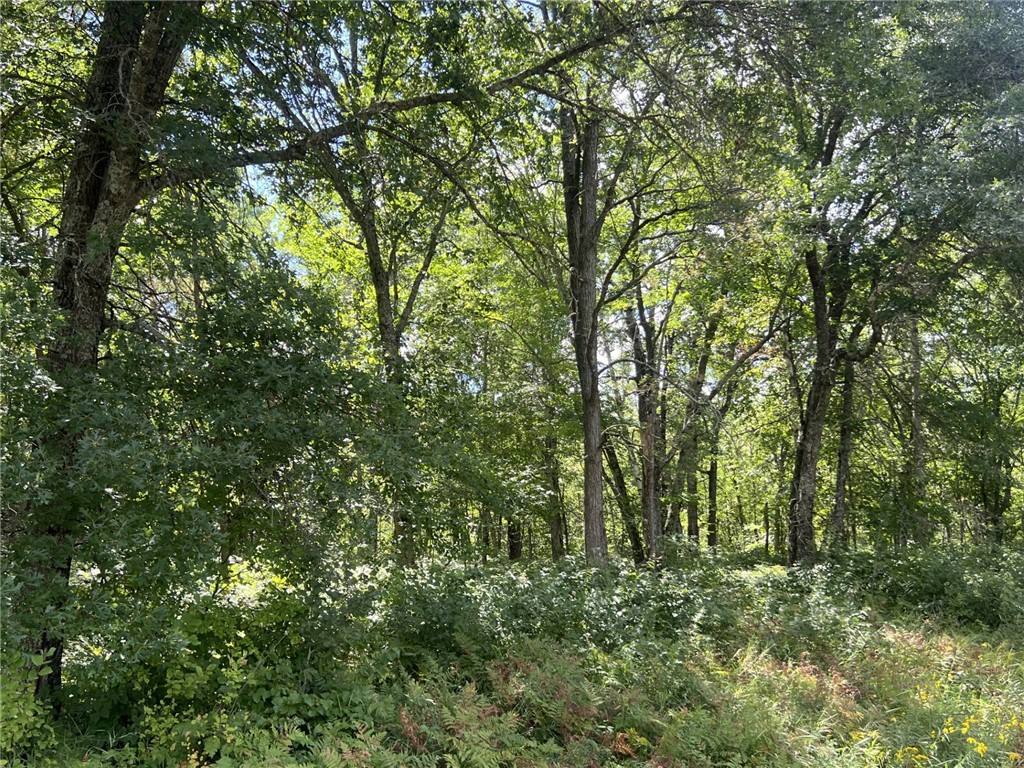 XXXX County Road B Siren WI 54872 1594845 image10