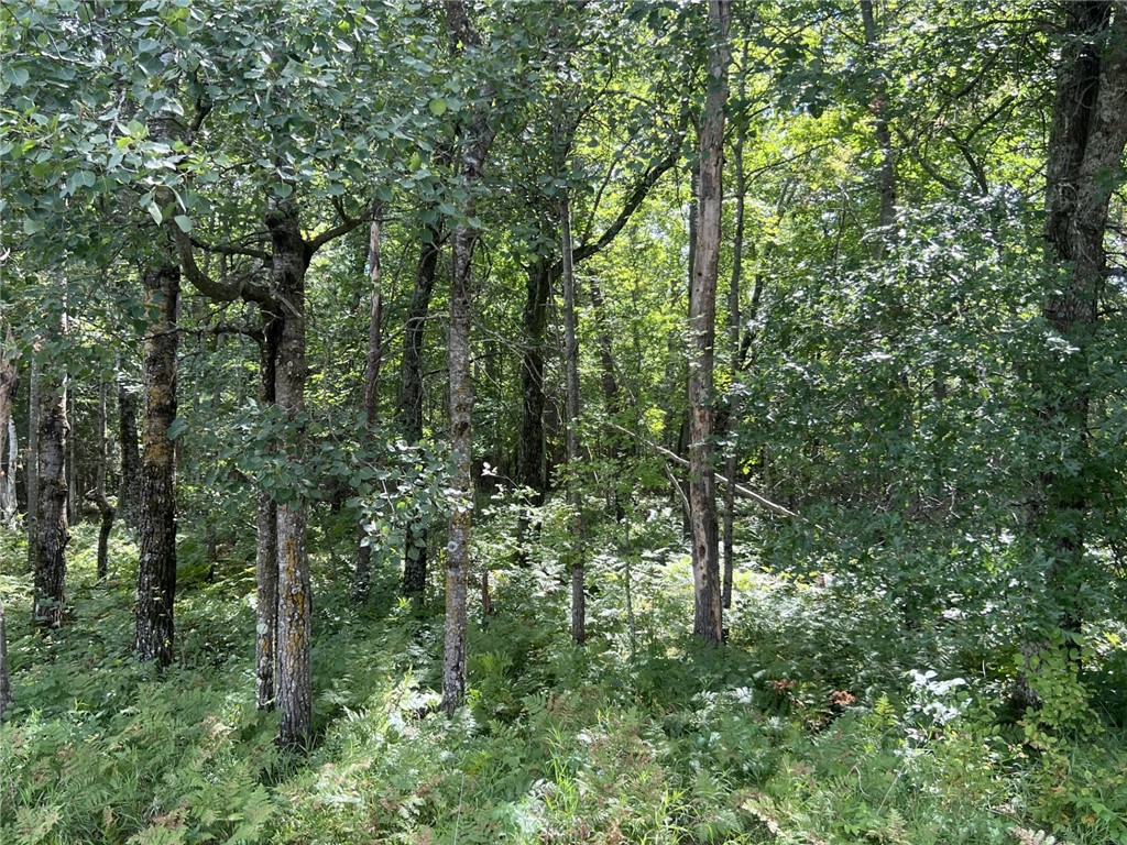 XXXX County Road B Siren WI 54872 1594845 image11