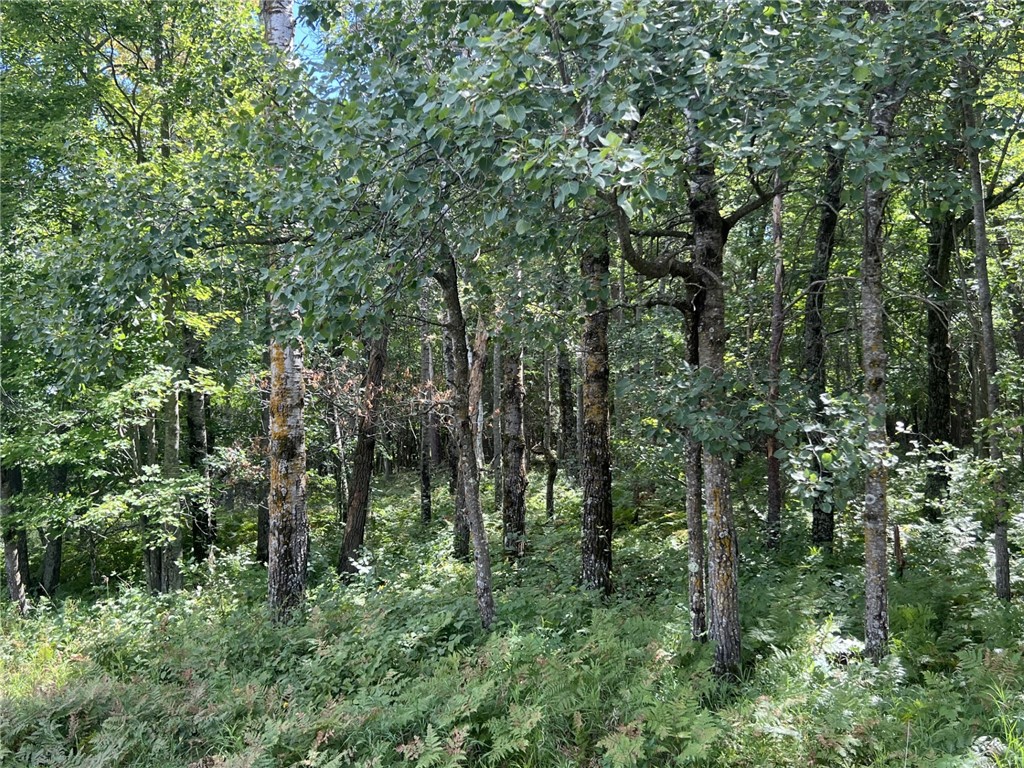 XXXX County Road B Siren WI 54872 1594845 image12