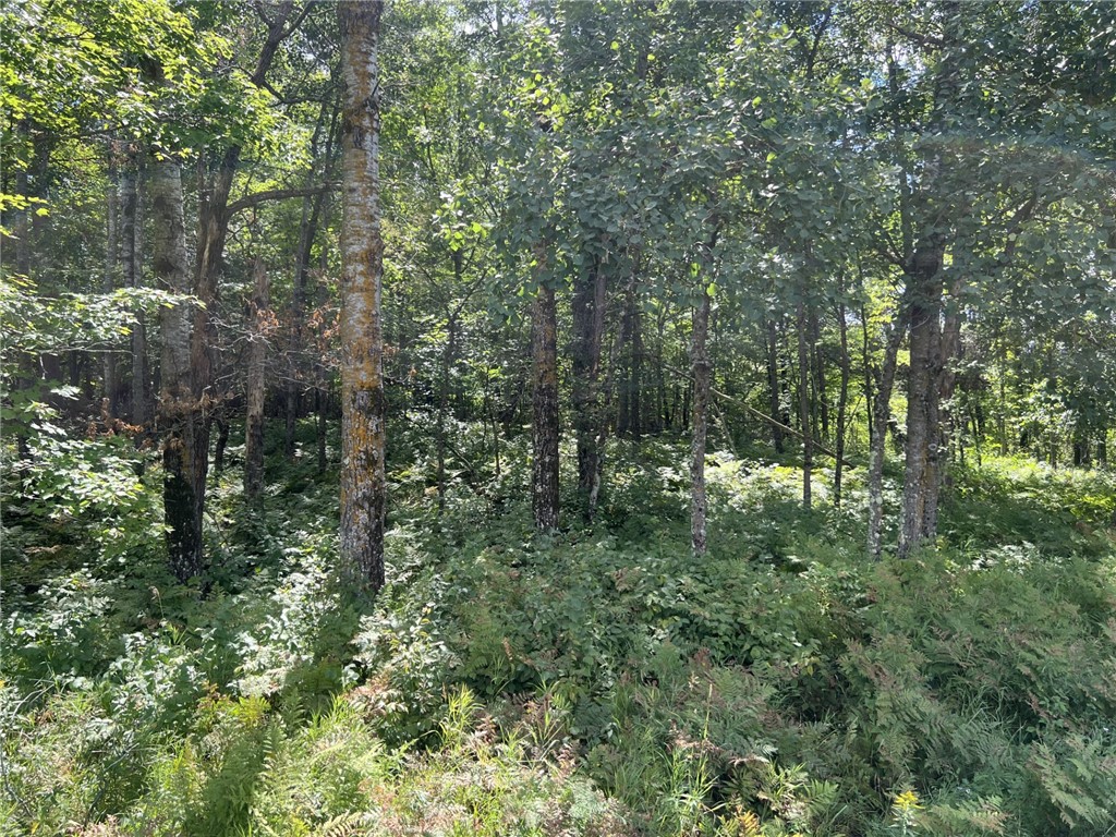 XXXX County Road B Siren WI 54872 1594845 image2