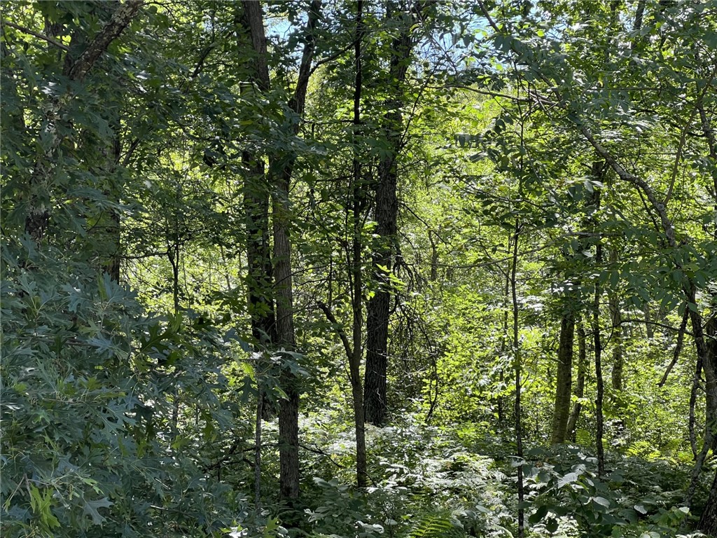 XXXX County Road B Siren WI 54872 1594845 image3