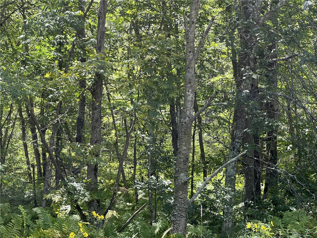 XXXX County Road B Siren WI 54872 1594845 image4