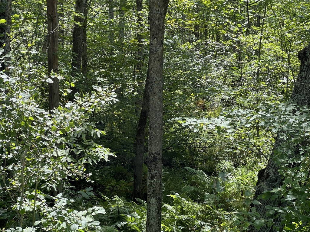 XXXX County Road B Siren WI 54872 1594845 image5