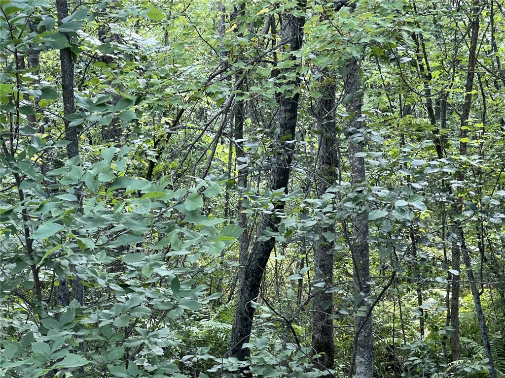 XXXX County Road B Siren WI 54872 1594845 image6