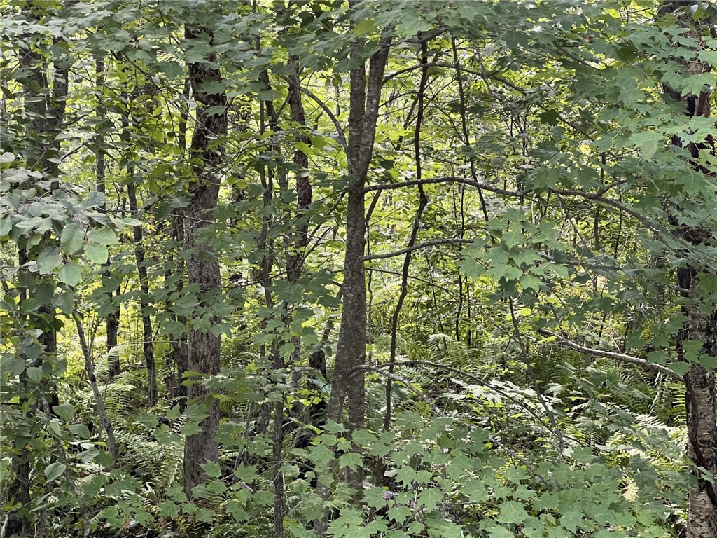 XXXX County Road B Siren WI 54872 1594845 image7