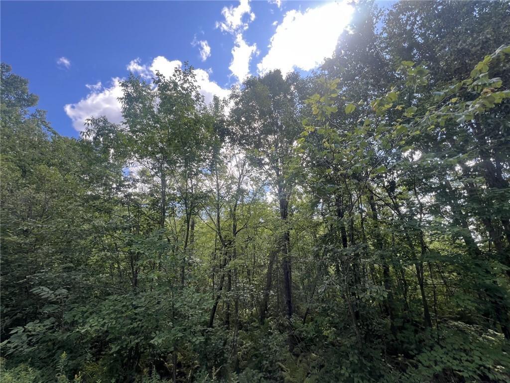 XXXX County Road B Siren WI 54872 1594845 image8