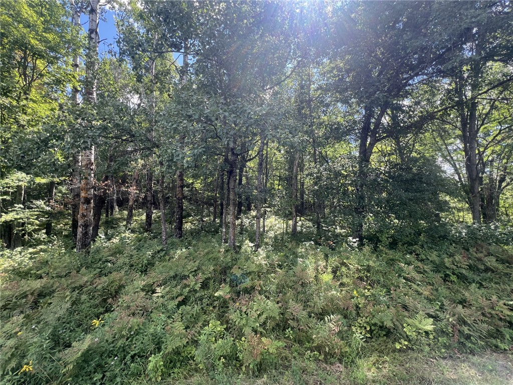 XXXX County Road B Siren WI 54872 1594845 image9