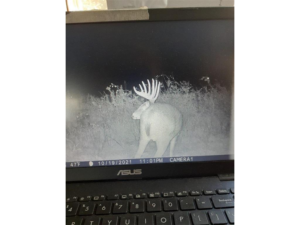 XXXX County Road S Emerald WI 54013 1567918 image1