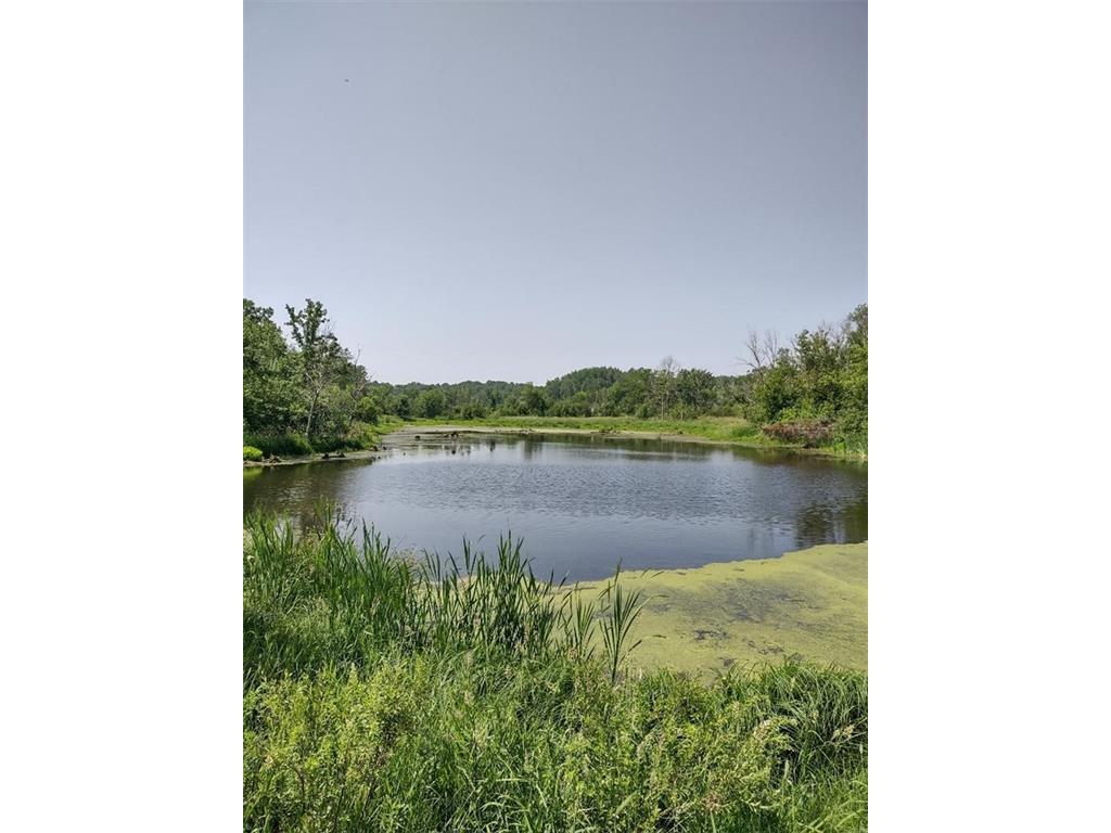 XXXX US Hwy 8 Almena WI 54805 - Lightning 1578059 image1
