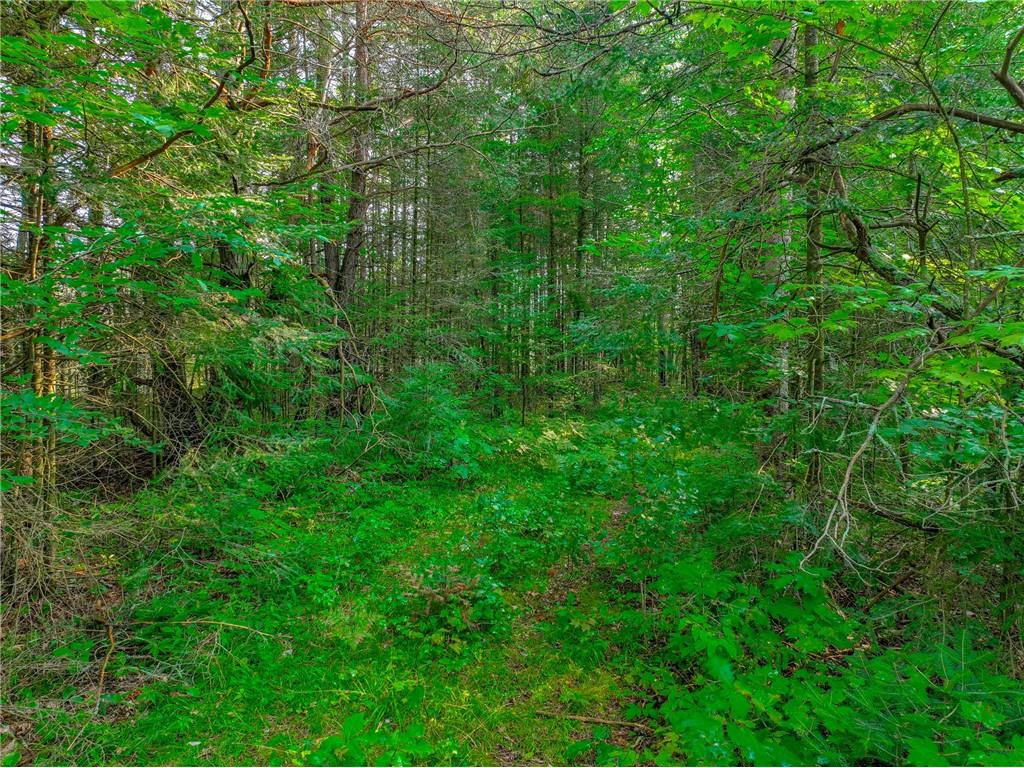 XXXX W Moose Lake Road Hayward WI 54843 - Snipe 1584588 image1