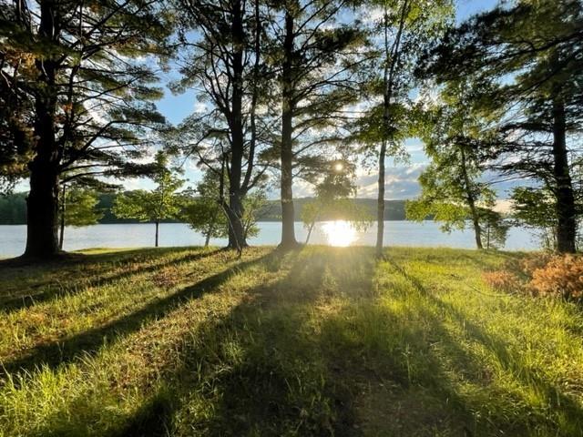 XXXXX2 N Tanning Point Road Hayward WI 54843 - Nelson Lake 1576134 image1