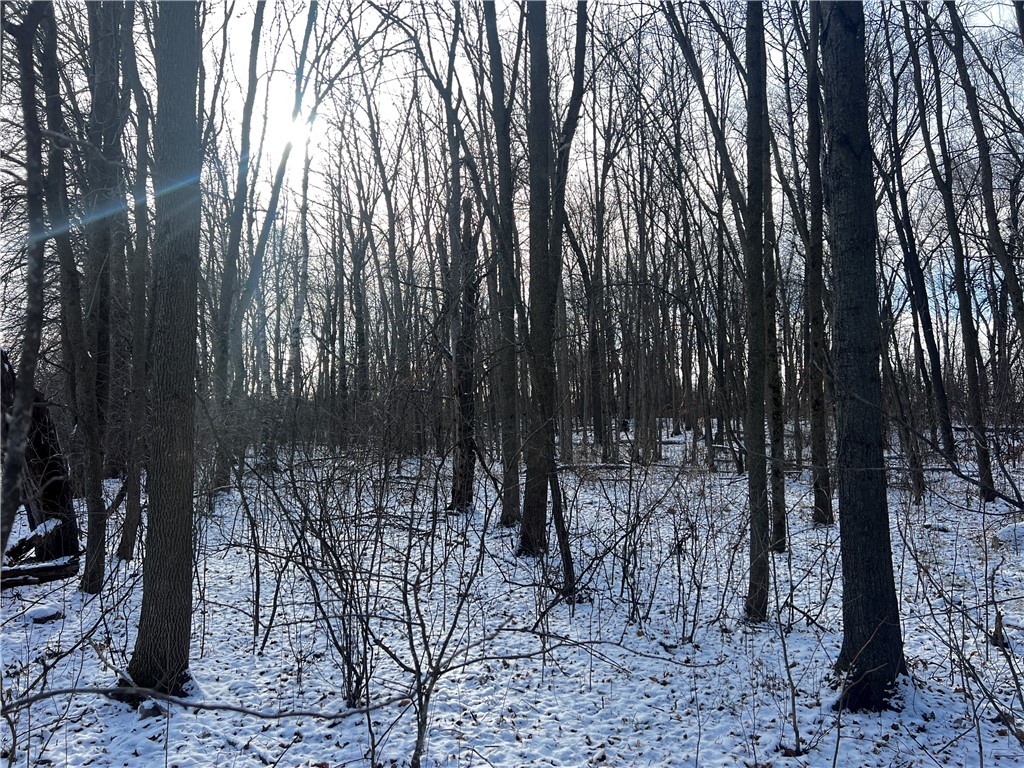 lot 2 105th Street Amery WI 54001 1587795 image1