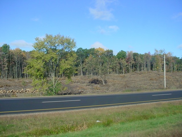 lot 4 16th Avenue County Trunk Highway Ss Rice Lake WI 54868 1578217 image1