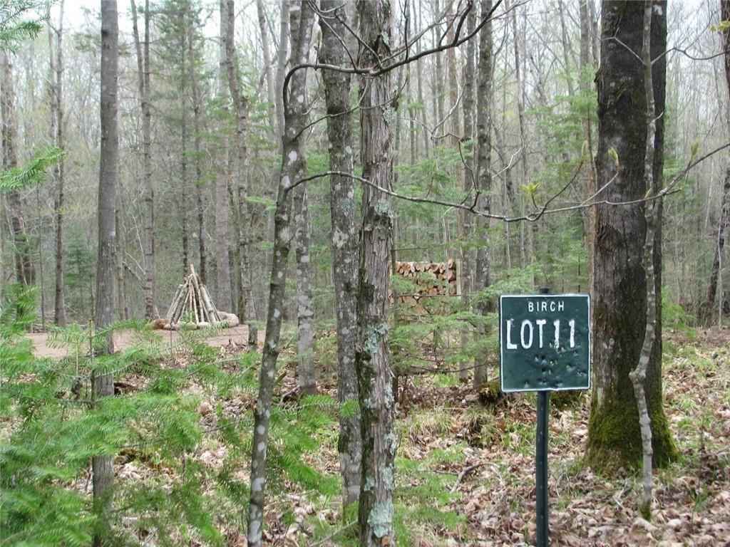 lots 11&12 Allison Place Birchwood WI 54817 - Red Cedar 1578515 image1