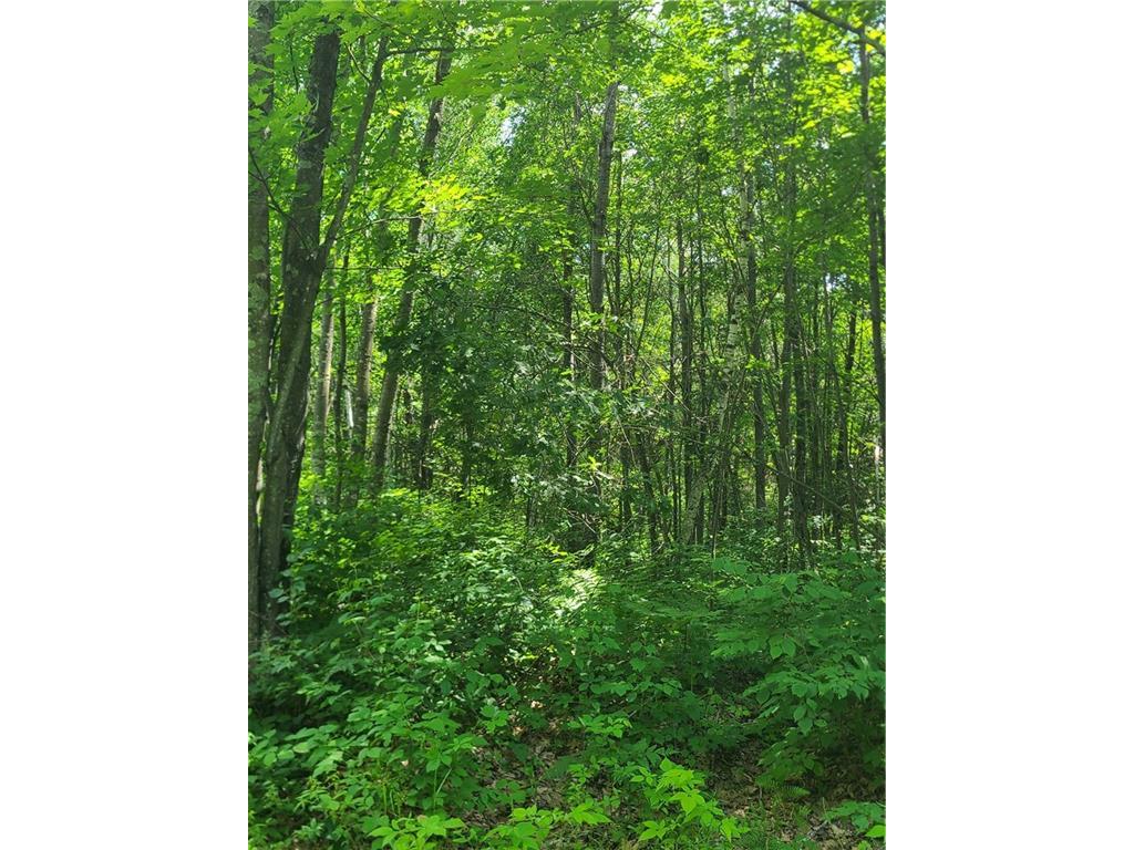 none none Bruce WI 54819 1574673 image1