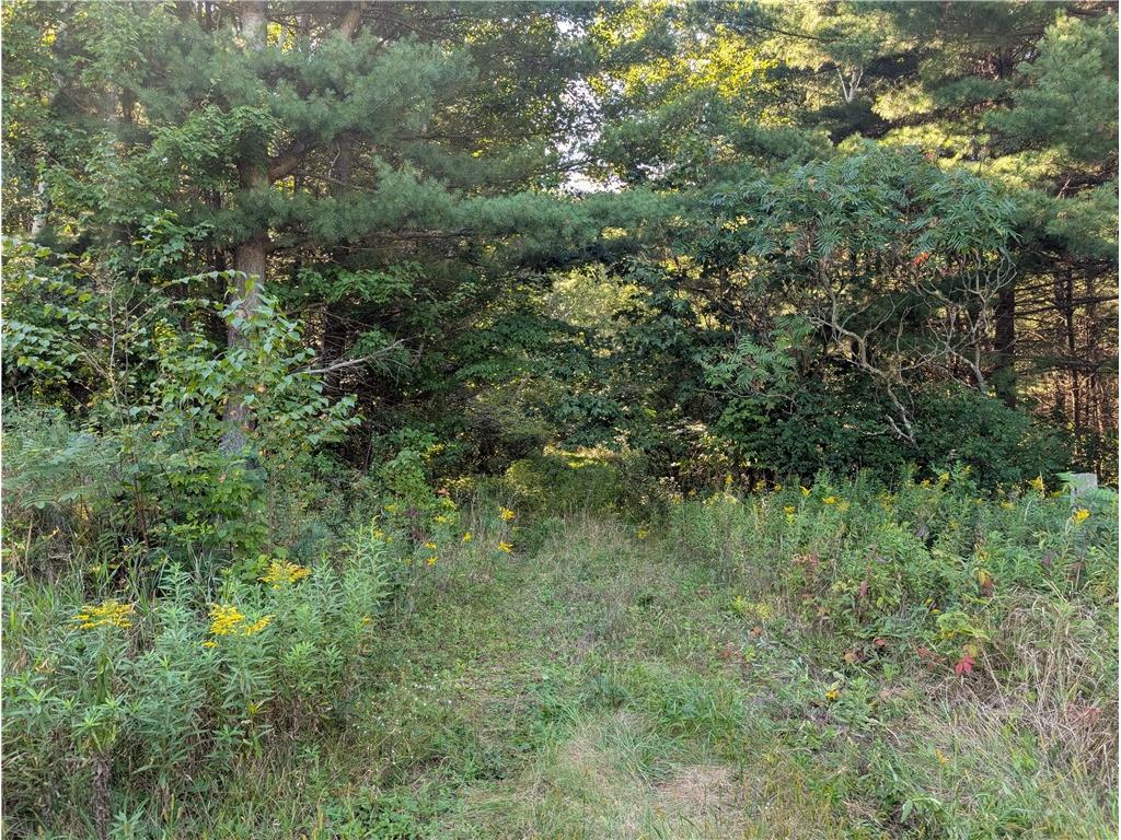 tbd 40th Street Clayton WI 54004 1595342 image6