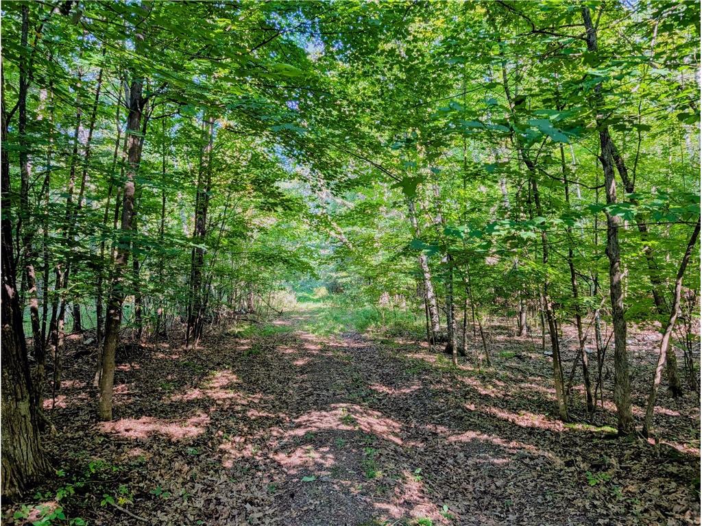 tbd 40th Street Clayton WI 54004 1595342 image7