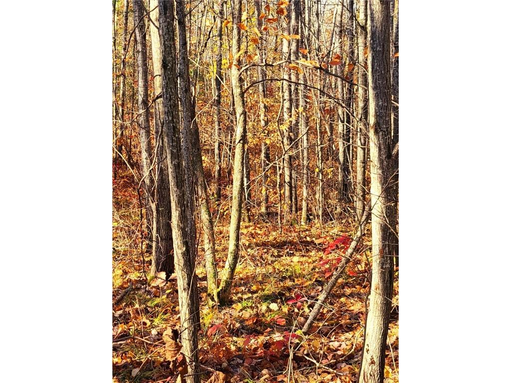 tbd Highway 77 Minong WI 54859 1589874 image2