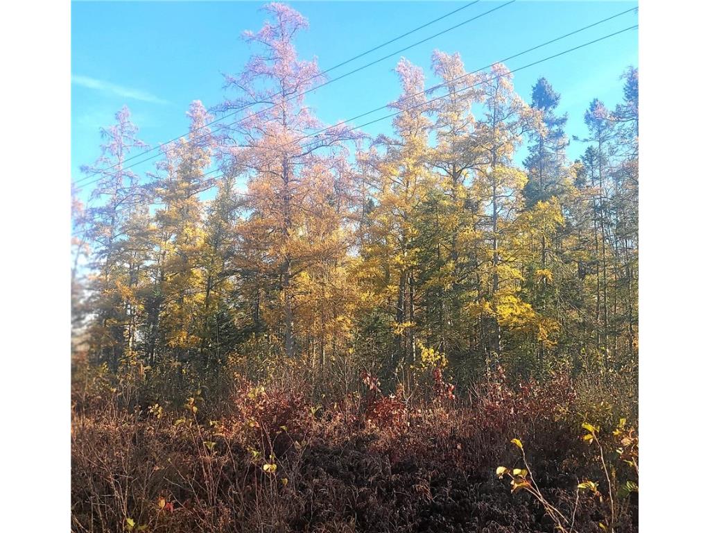 tbd Highway 77 Minong WI 54859 1589874 image4