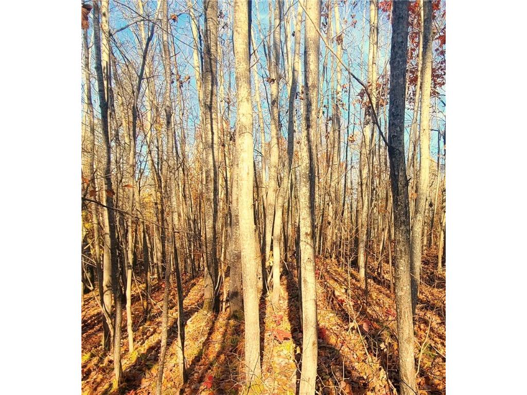 tbd Highway 77 Minong WI 54859 1589874 image6