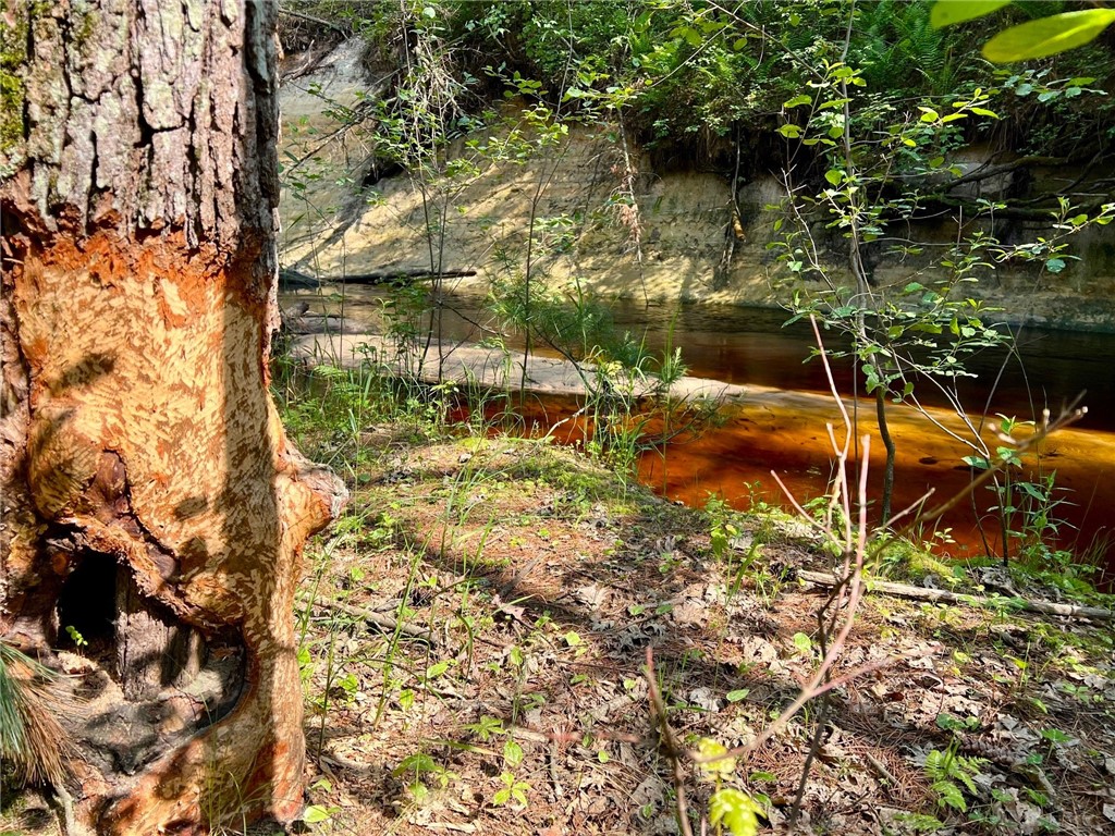 tbd Old County Road I Black River Falls WI 54615 - Robinson 1592661 image1