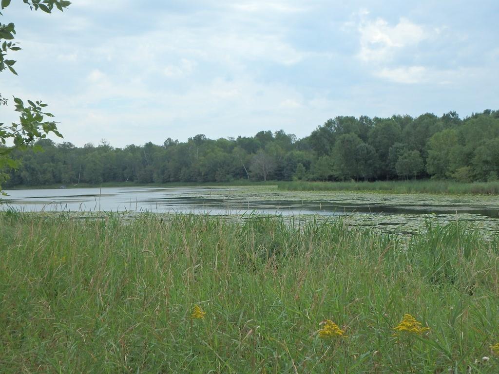 x 231st Street Cushing WI 54006 - Tarbert 1572434 image1