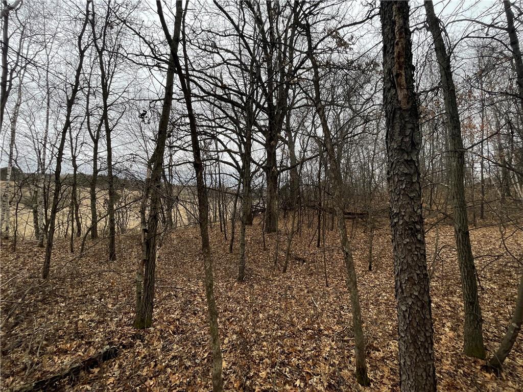 xx 84th Avenue Osceola WI 54020 1564002 image1