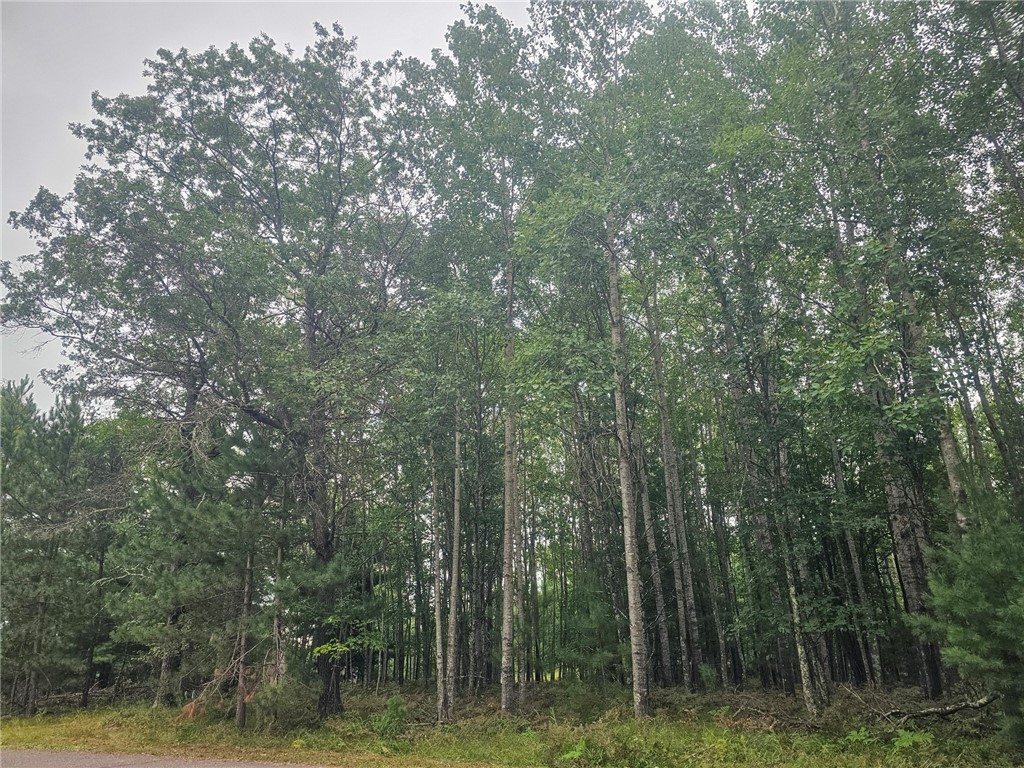 xx Loon Lake Road Danbury WI 54830 1594857 image1