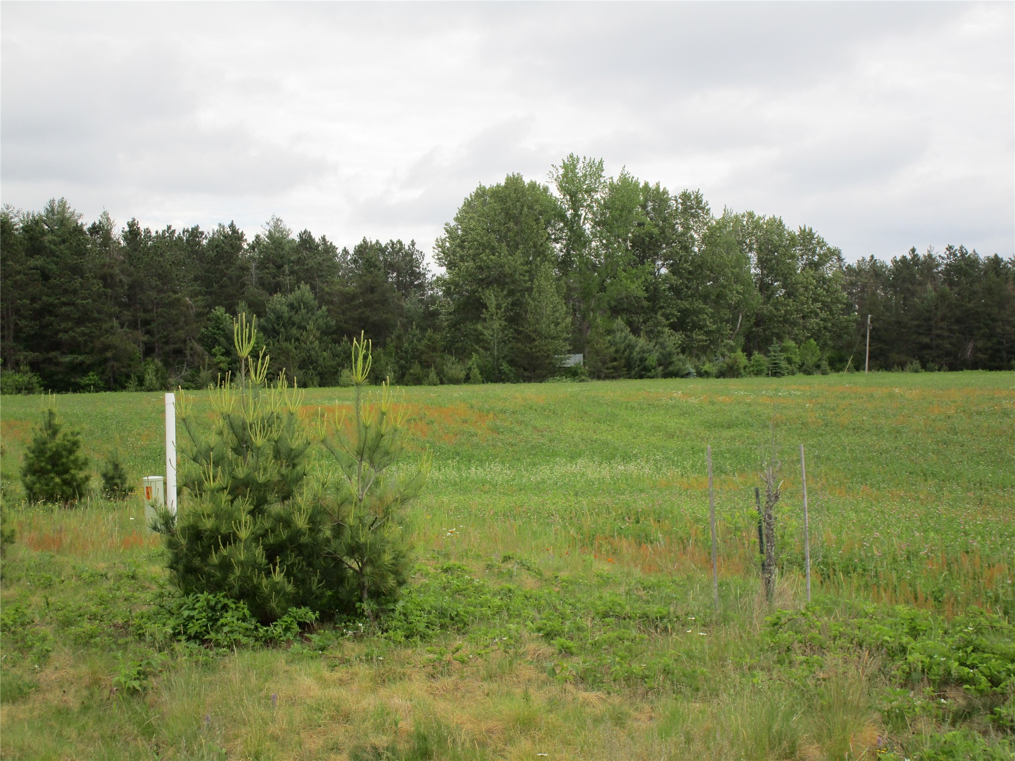 xx River Pine Dr Ladysmith WI 54848 1601918 image1
