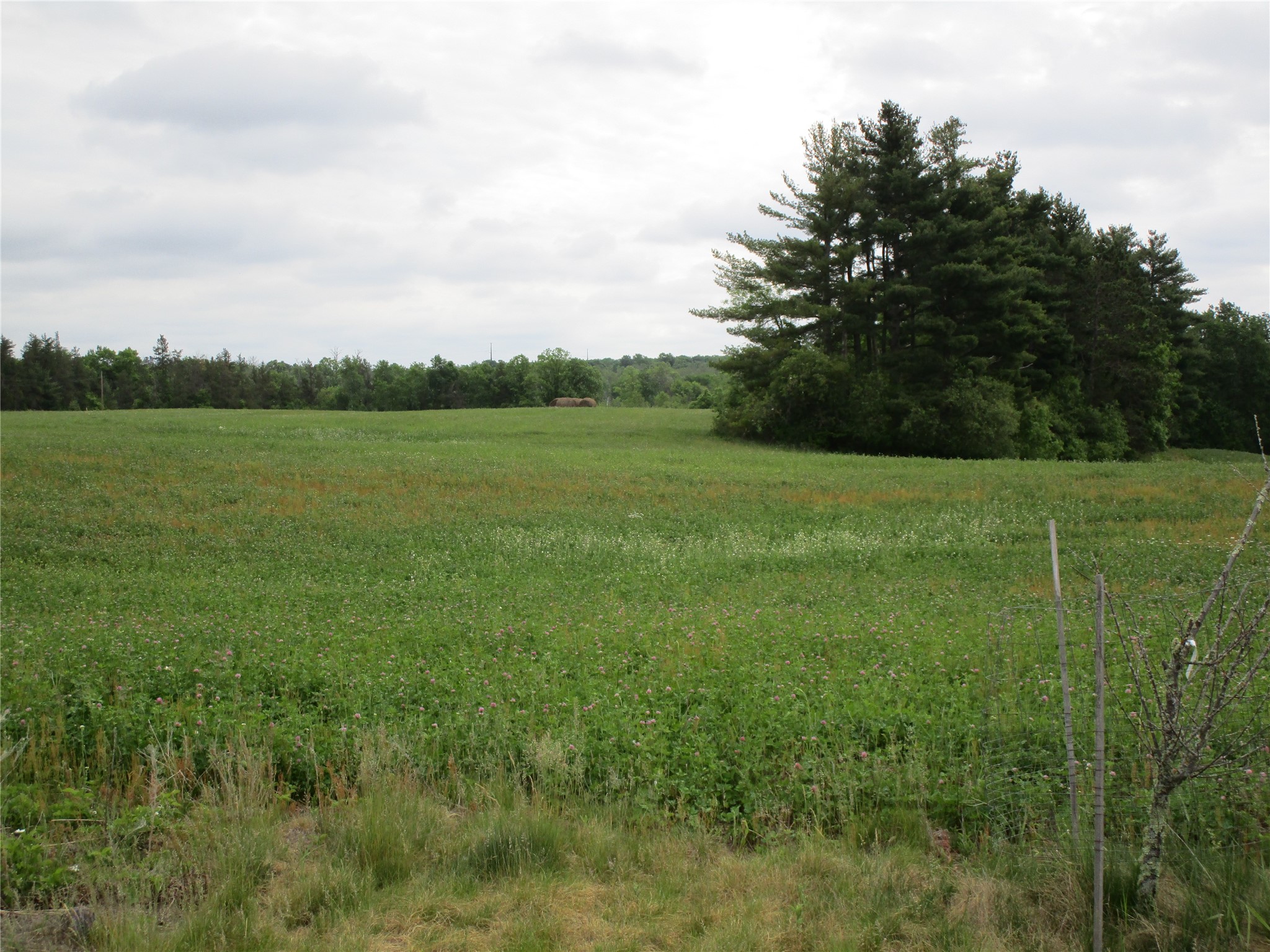 xx River Pine Dr Ladysmith WI 54848 1601918 image2