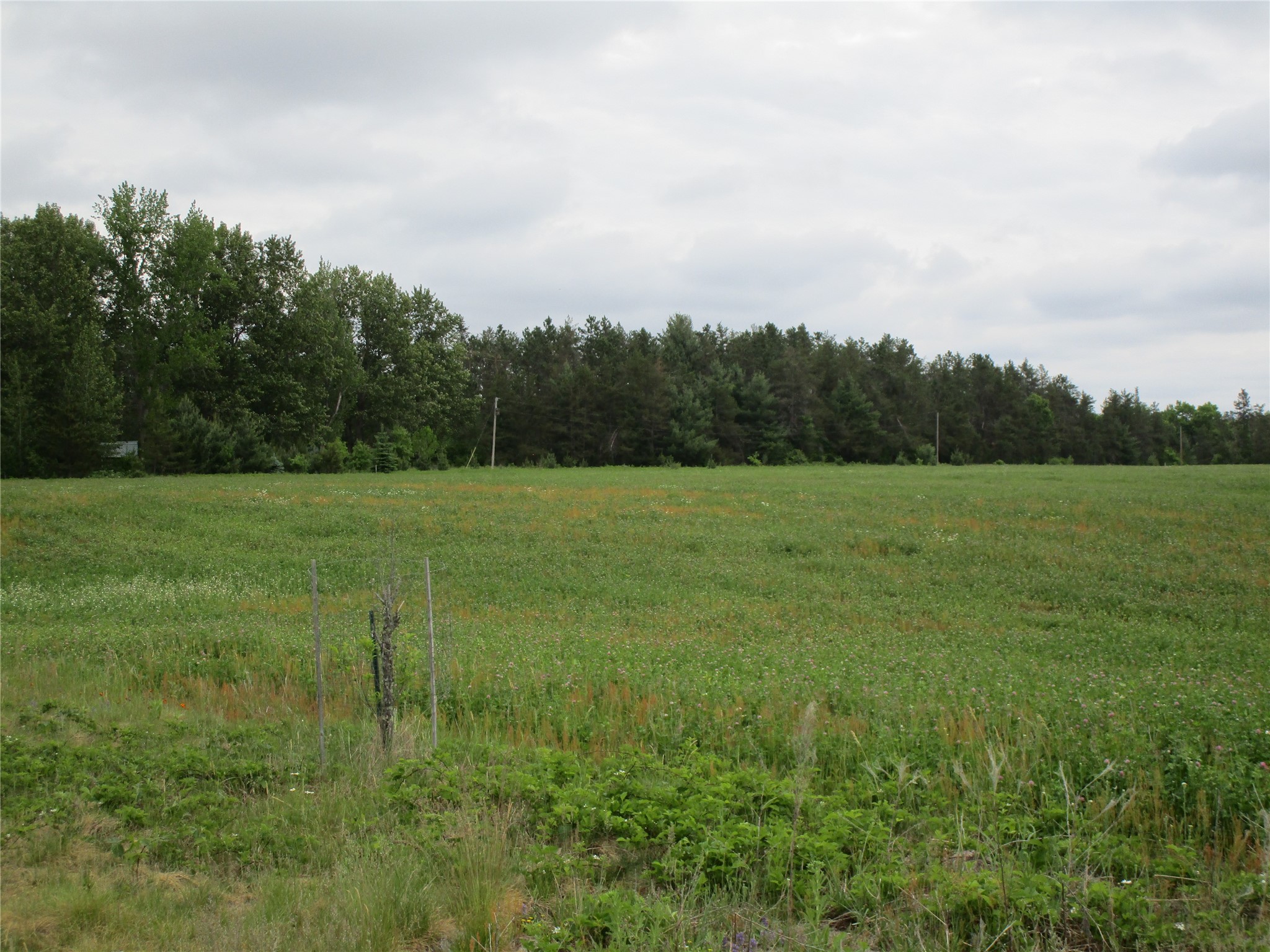 xx River Pine Dr Ladysmith WI 54848 1601918 image3