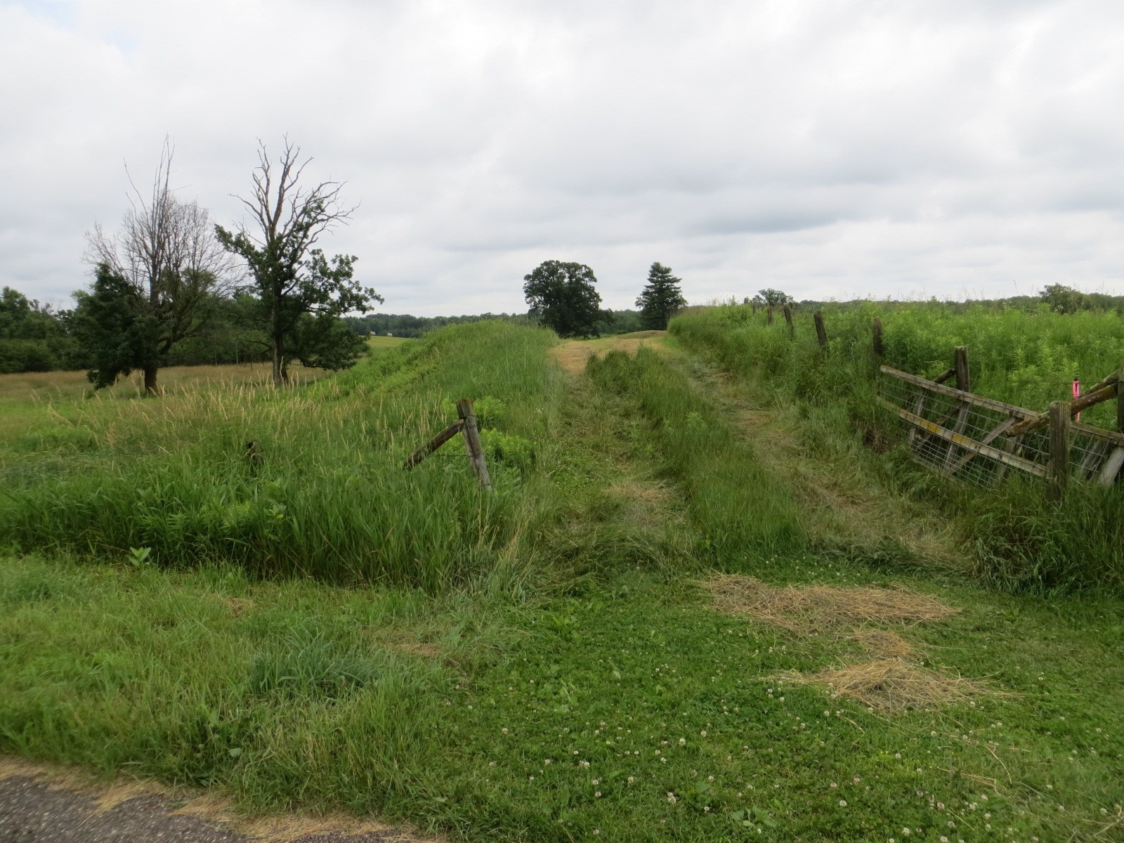 xx2 350th Street Stanley WI 54768 1602965 image1